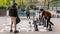 Geneva, Switzerland - April 16, 2019: People playing traditional oversized street chess in Parc des Bastions