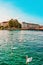 Geneva, Switzerland - August 30, 2016: Swans at Geneva Lake in summer, Geneva, Switzerland. Bergues Bridge on the background