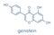 Genistein isoflavone molecule. Skeletal formula.