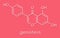 Genistein isoflavone molecule. Skeletal formula.