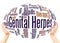 Genital herpes word cloud sphere concept