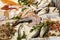 Genoa, Italy, 10/04/2019: A variety of raw fish on the counter with price tags