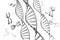 Genome dna vector illustration. DNA structure EPS 10. Genome sequencing concept of gmo and genome editing