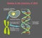 Genome in the structure of DNA on grey background. genome sequence. Telomere is a repeating sequence of double-stranded DNA loc