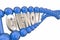 Genome Word DNA Strand Genetics Heredity