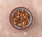 Gentian root in a small bowl on a marble table