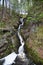 Gentilly river regional park in Quebec