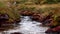 Gentle allt t-Sneachda flowing below the ridge during august in the cairngorms national park, scotland.