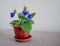 Gentle blue purple flowers of Sinningia Thidea - Gloxinia with green leaves on a gray background. Indoor plant. Selective focus