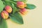 Gentle bouquet of fresh orange tulips on beige background with copy space