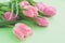 Gentle bouquet of fresh pink tulips on light green background with copy space