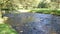 Gentle flowing water in a rocky stream