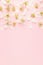 Gentle fresh spring pink background with white petals and buds of apple tree flowers on pastel pink background as border.