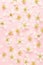 Gentle fresh spring pink background with white petals, pistils and buds of apple tree flowers on pastel pink background as pattern