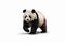 Gentle Giant: The Adorable Panda on a White Background