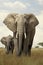 Gentle Giants of the Savannah: An African Elephant and Her Calf in Their Natural Habitat, ai generative
