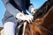 Gentle horseman wearing blue jacket and blue gloves