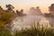 A gentle misty morning on a quiet lake.