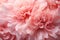 Gentle pink background of peony flowers petals macro photo, closeup view, pink floral background
