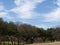 Gentle Rolling Hills at Tenison Highland Course