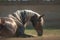 Gentle strength A captivating portrait view of a majestic horse