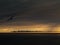 Gentle sunset with gull and clouds. North Devon coast with sea and sky.