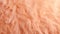 Gentle and textured Peach Fuzz background, plush and cozy.