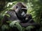 A Gentle Touch: Mother Gorilla and Her Newborn