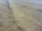 Gentle wave across shallow water with rippled sand at Presquâ€™ile