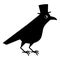 Gentleman crow, blackbird with top hat. Cute raven illustration on white blackground