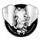 Gentleman Elephant Victorian Millionaire American Republican Elegant Patriotic Black White