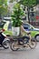 Gentleman with a huge plant on his moped, Hanoi Vietnam