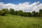 Gently rolling green meadow with treeline behind, clouds and blue sky beyond