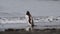 Gentoo Penguin on the beach in Antarctica