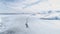 Gentoo penguin colony migration coast aerial view