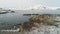 Gentoo penguin colony standing on rock hill aerial