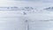 Gentoo penguin group migration arctic aerial view