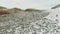 Gentoo penguin group standing on snow shore aerial