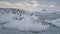 Gentoo penguin jump glacier antarctica water