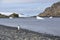 Gentoo penguin on the shores of Antarctica