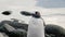 Gentoo penguin on snowy Wiencke Island in Antarctica..