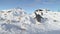 Gentoo penguin steal nest stone antarctic close-up