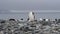 Gentoo Penguins on the beach in Antarctica