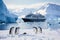 Gentoo penguins and cruise ship, Antarctic Peninsula, Antarctica, Antarctica penguins and cruise ship, AI Generated