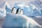 Gentoo penguins on ice floe, Antarctic Peninsula, Antarctica, Chinstrap penguins, Pygoscelis antarctica, on an iceberg off the