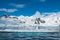 Gentoo penguins on iceberg Antarctica