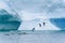 Gentoo penguins playing on a large snow covered iceberg, penguins jumping out of the water onto the iceberg, diving back into the