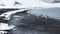 Gentoo penguins in volcanic sand on Deception Island, Antarctica