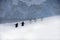 Gentoo penguins walking over the ice to their nesting rookery, Antarctica