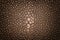 Genuine brown stingray skin closeup. Super macro Leather texture background